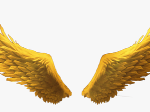 #goldenwings #goldwings #golden #gold #wings #wimg - Gold Angel Wings Png Transparent
