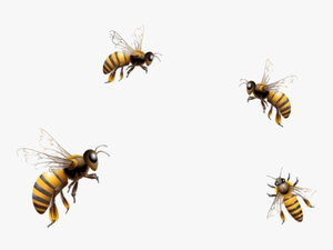 #mq #bees #bee #insect #flying #fly - Flying Honey Bee Png