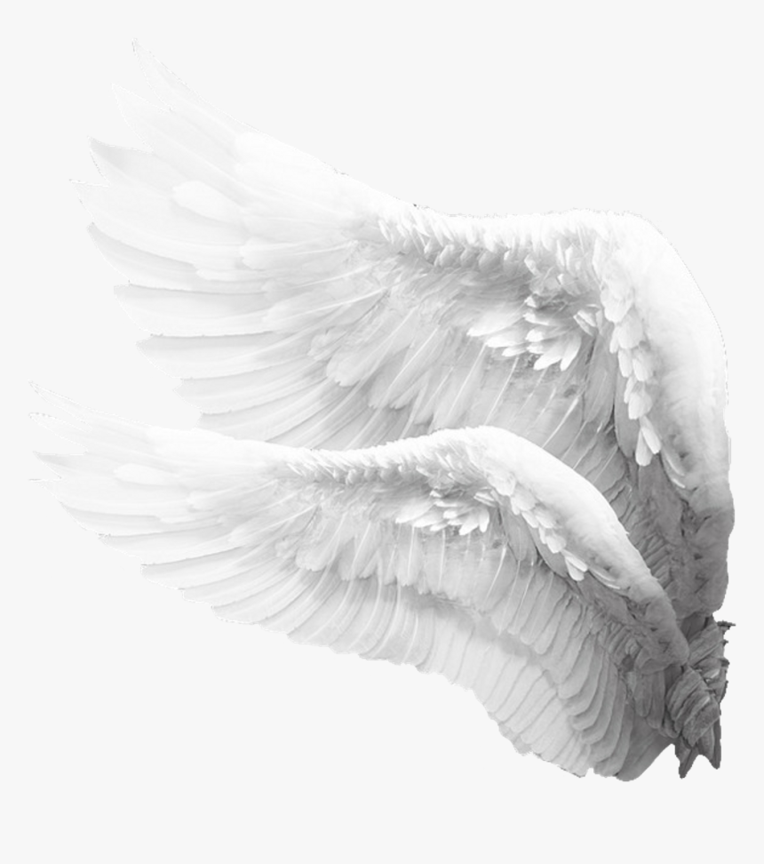#freetoedit #wings #white #mysticker #picsart - Angel Wings Png Side