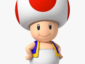 Toad Mario Bros