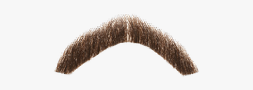 Moustache Png Transparent Images - Freddie Mercury Mustache Png