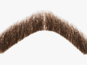 Moustache Png Transparent Images - Freddie Mercury Mustache Png