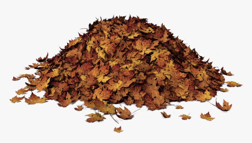 Autumn Leaves Pile Of Leaves Png