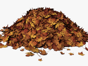 Autumn Leaves Pile Of Leaves Png