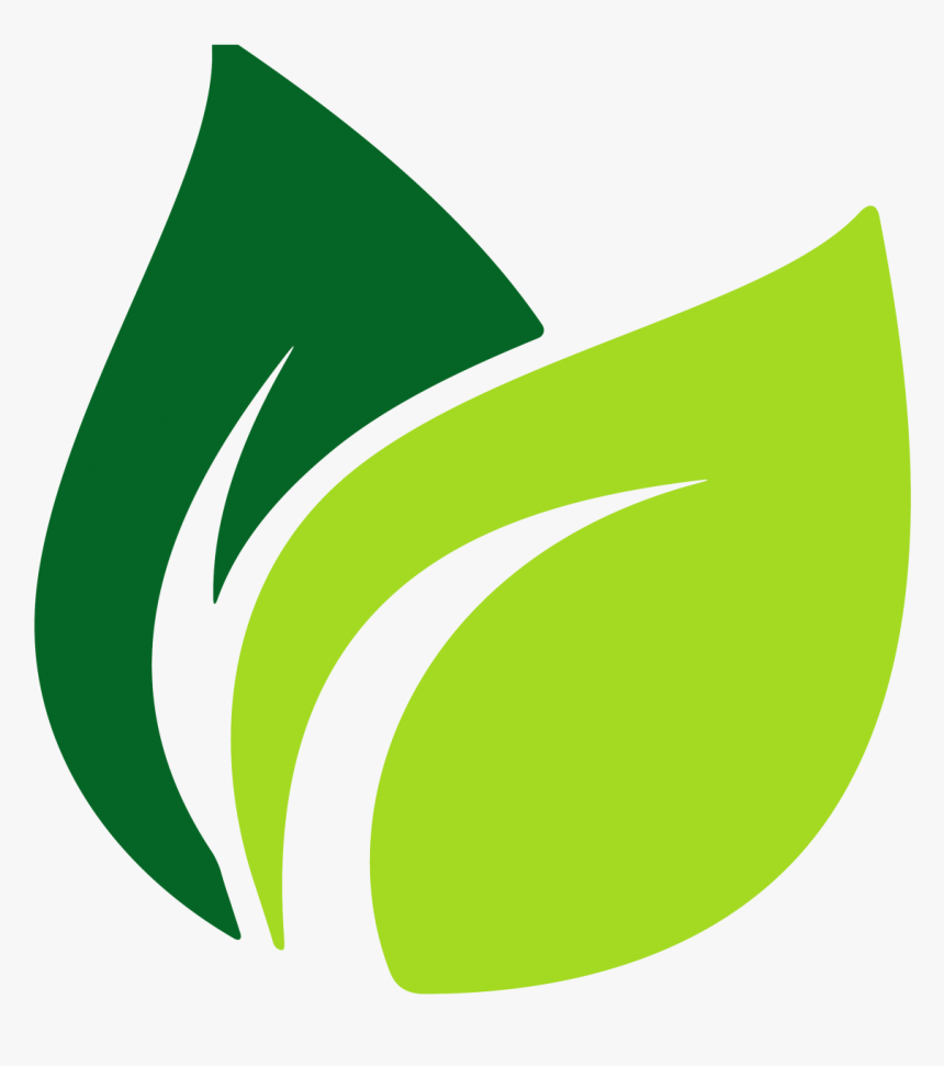 Fern Clipart Daun - Green Leaf V