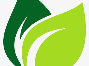 Fern Clipart Daun - Green Leaf Vector Png