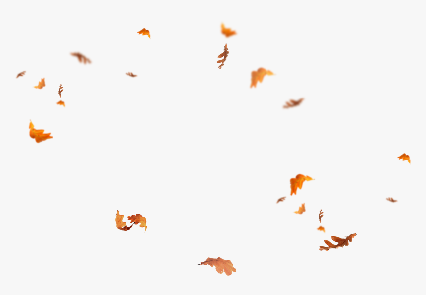 Leaves Falling Png - Overlay Fal