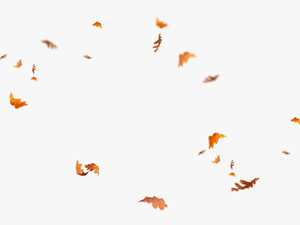 Leaves Falling Png - Overlay Fall Leaves Png