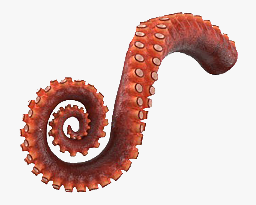 Octopus Tentacle Png