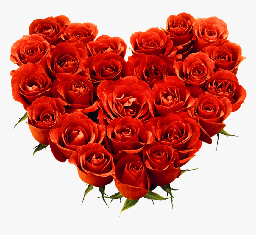 Red Rose Png Image - Love Rose Flower Png