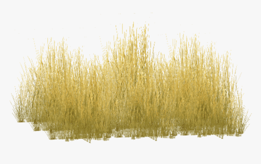 Free Png Download Yellow Grass P