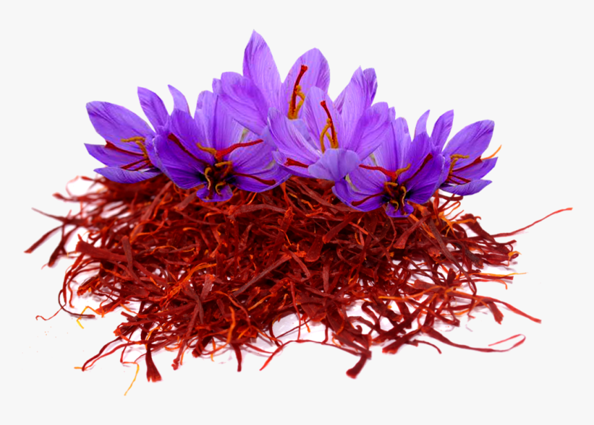 Saffron Png Image File - Kashmir Saffron Flower