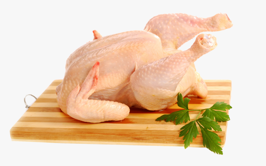 Full Chicken Png Free Background - Daging Ayam Segar