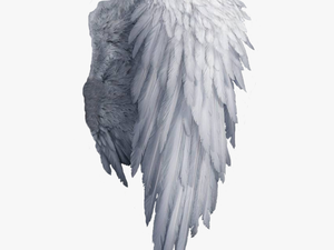 White Angel Wings Png 
