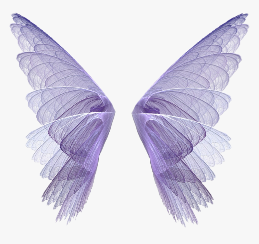 #wingsart #wings #scwings #fairytale #fantasy #fairy - Fairy Wings Png Transparent