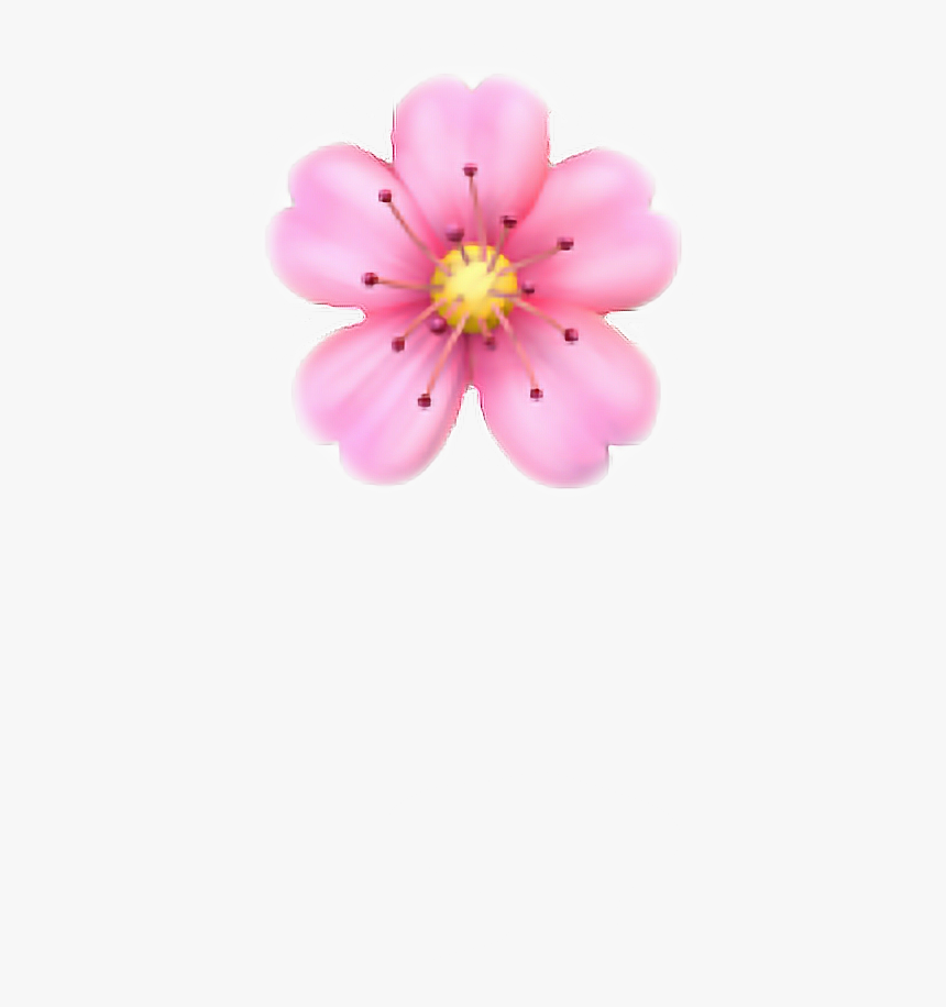 Pink Flower Emoji Png
