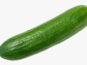 Cucumber Png Images Free Download - Cucumber Png