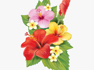 Transparent Background Tropical Flowers Png