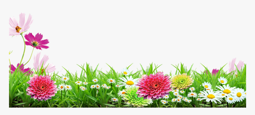 #mq #grass #flowers #garden #landscape - Background Flower Images Png