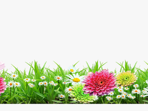 #mq #grass #flowers #garden #landscape - Background Flower Images Png