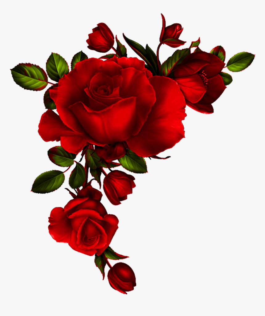 Yükle Red Rose Petals Vector Material