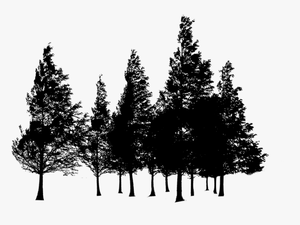 Transparent Forest Silhouette Png - Trees Png
