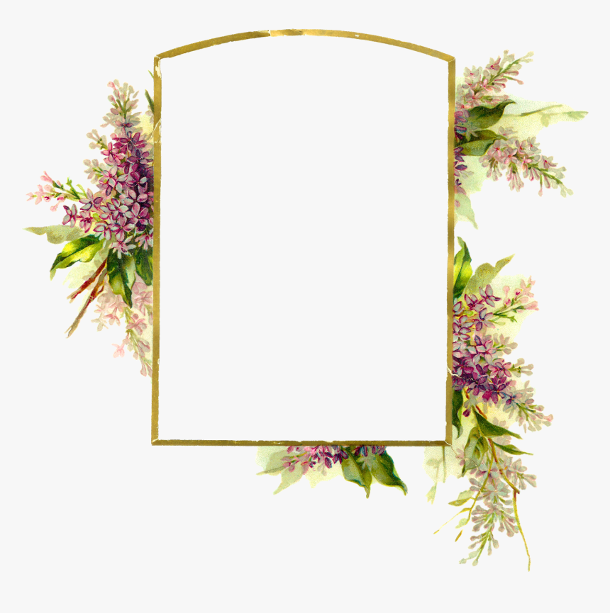 Floral Frame Png - Transparent B