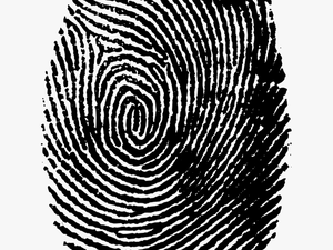 Thumb Print Png - Transparent Png Fingerprint Png