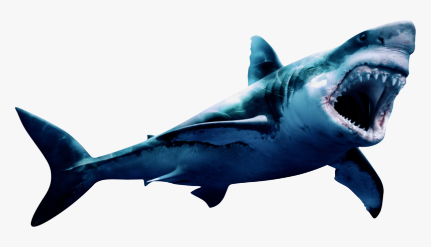 Download Free Png Megalodon Png Pic - Geometric Shark Painting