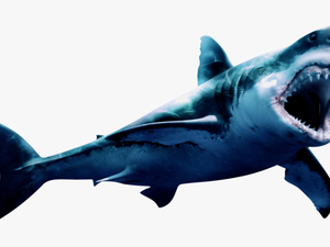 Download Free Png Megalodon Png Pic - Geometric Shark Painting