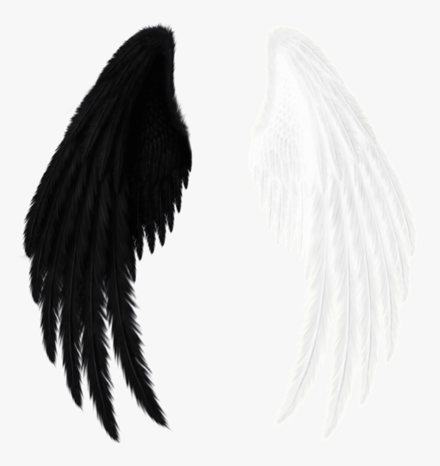 #wings #black #white #black And 