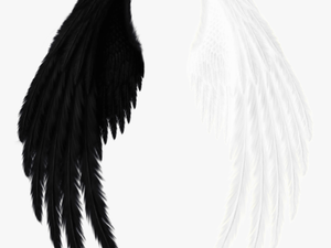 #wings #black #white #black And White - Red Angel Wings Png