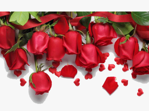 Transparent Rose Border Png - Red Roses Background Hd