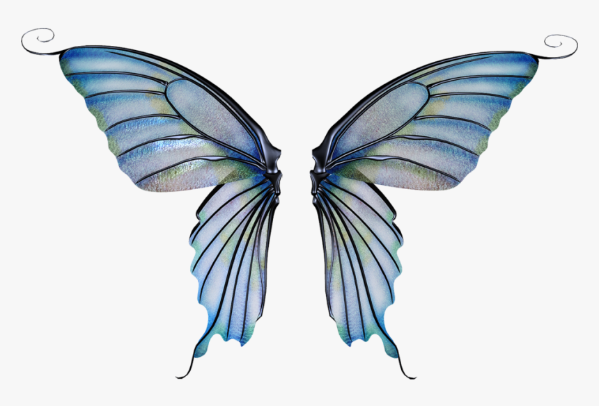 Transparent Background Fairy Wings Transparent