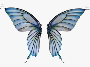 Transparent Background Fairy Wings Transparent