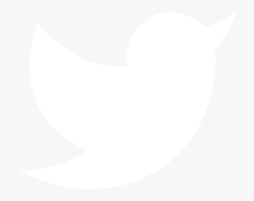 White Transparent Twitter Logo C
