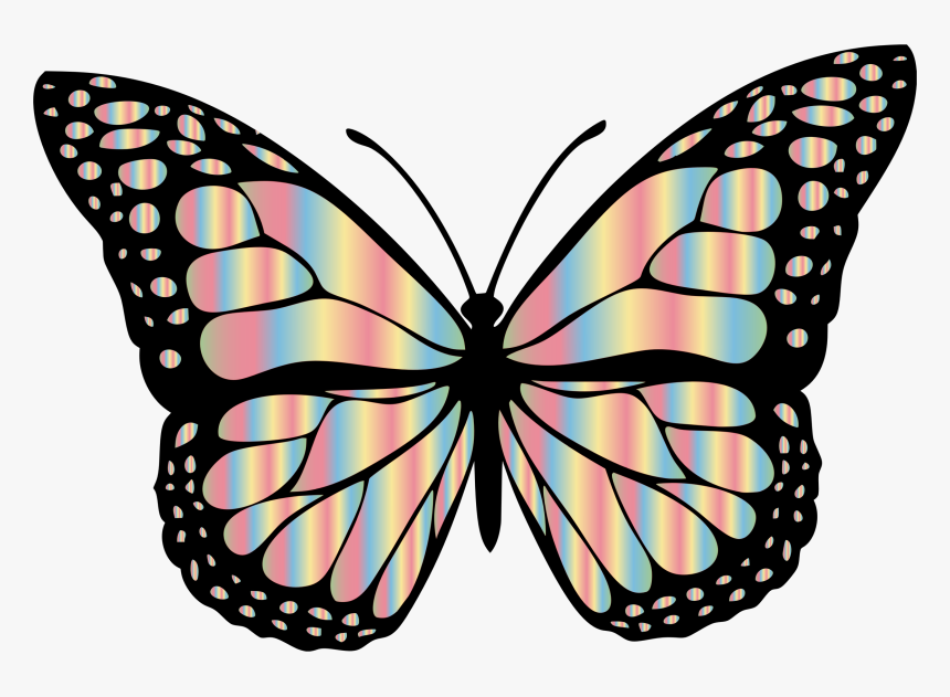 Transparent Free Butterfly Png - Black And Grey Butterfly