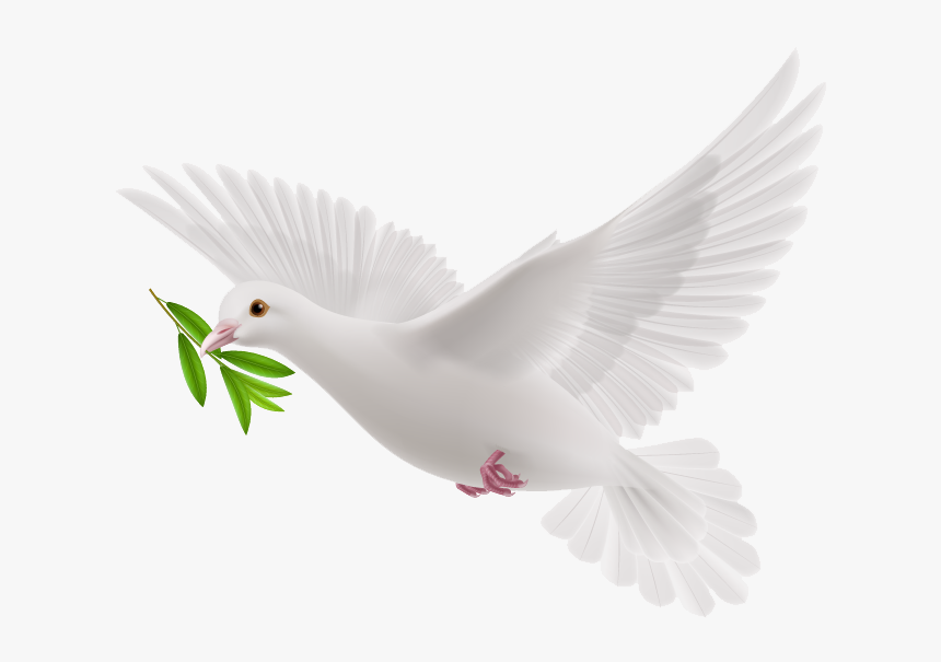 Transparent Flying Pigeon Png - White Flying Pigeon Png
