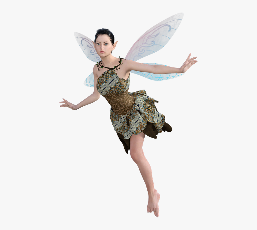 Fairy Png - Real Fairies Png