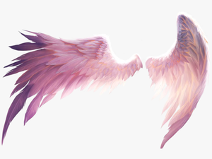 Feather Png Picsart Picsart Stickers Wings Clipart - Anime Angel Wings Transparent