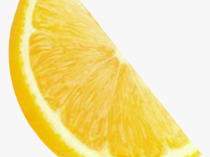 Lemon Lemonade Orange Slice Yellow Friut Yummy Bright - Orange