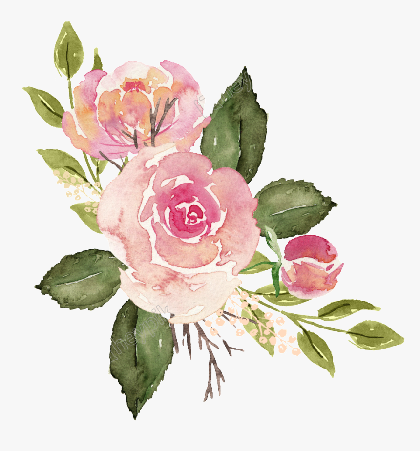 Watercolor Roses Png - Watercolo