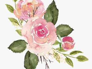 Watercolor Roses Png - Watercolor Pink Flower Transparent Background