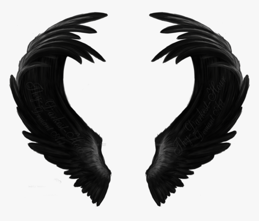 #black #wings #freetoedit - Angel Black Wing Art