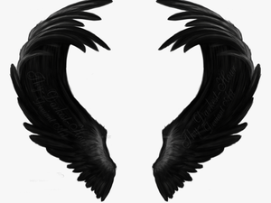 #black #wings #freetoedit - Angel Black Wing Art