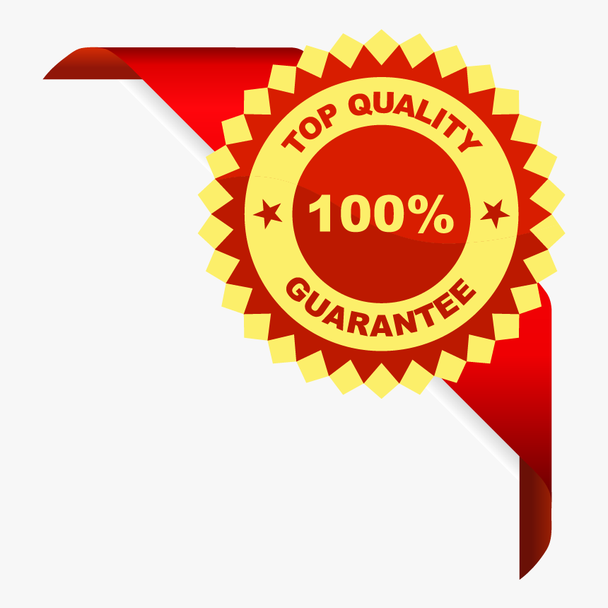 Best Quality Vector Png