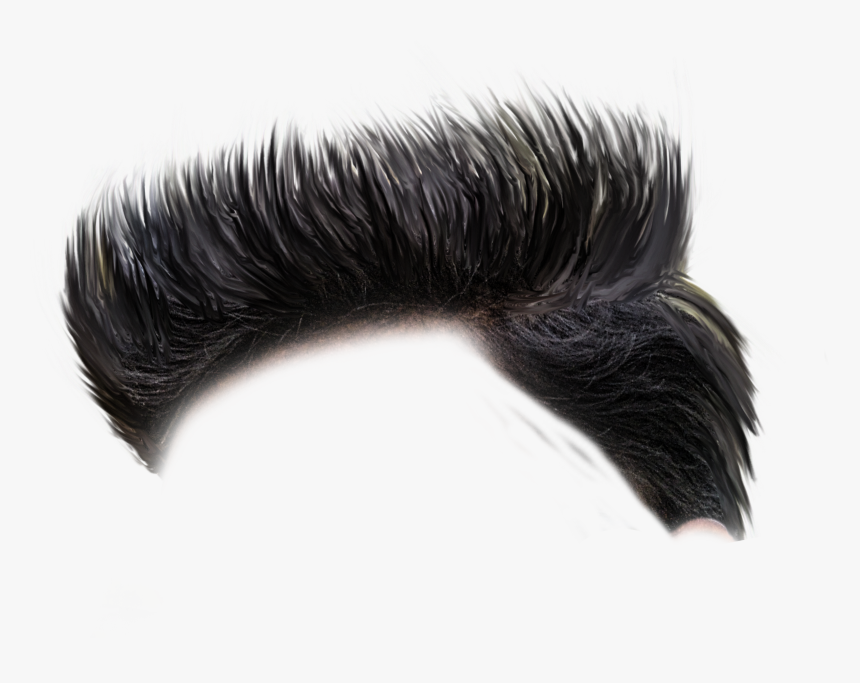 Black Hair Png - Side Hair Png B