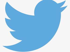 Twitter Logo Black Png - Twitter Logo Png