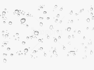 Download Image Images Background - Transparent Background Rain Drops