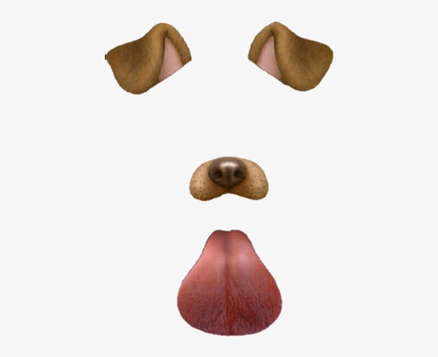 Dog Filter Png - Snapchat Dog Filter